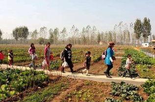 农场西南农庄爆料视频,农场爆料视频带你探秘田园生活  第3张