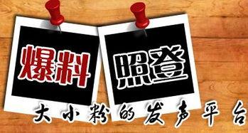 双峰新闻爆料,揭秘双峰县最新热点事件，双峰县双峰镇发生惊人一幕  第1张